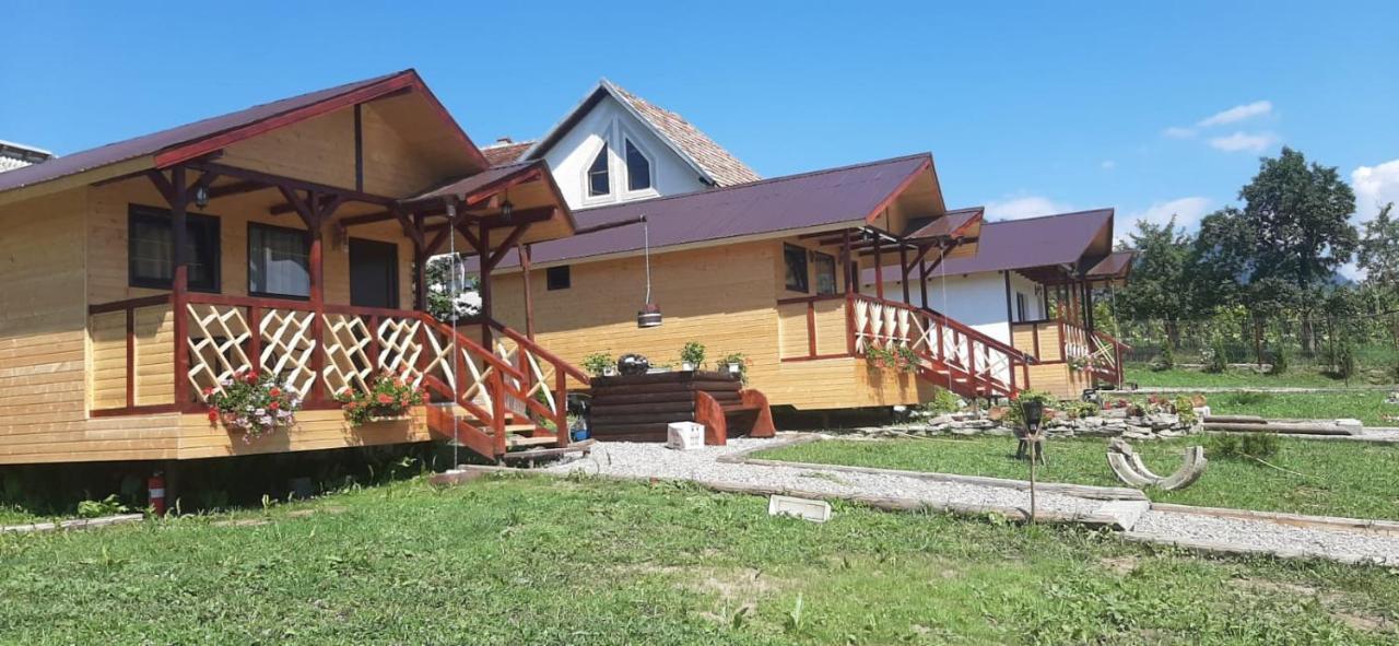 Вилла Baltina Parc Transfagarasan Куртя-де-Арджеш Экстерьер фото