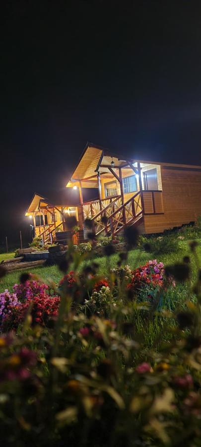 Вилла Baltina Parc Transfagarasan Куртя-де-Арджеш Экстерьер фото