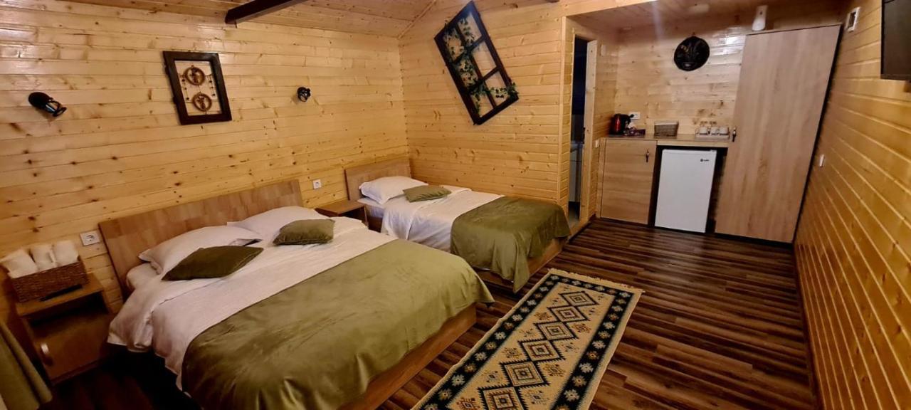 Вилла Baltina Parc Transfagarasan Куртя-де-Арджеш Экстерьер фото