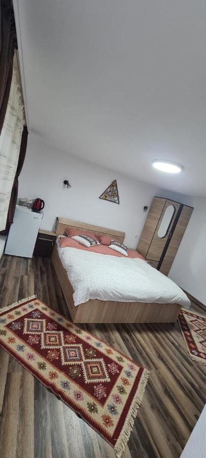 Вилла Baltina Parc Transfagarasan Куртя-де-Арджеш Экстерьер фото