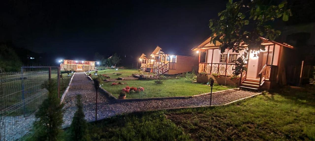 Вилла Baltina Parc Transfagarasan Куртя-де-Арджеш Экстерьер фото