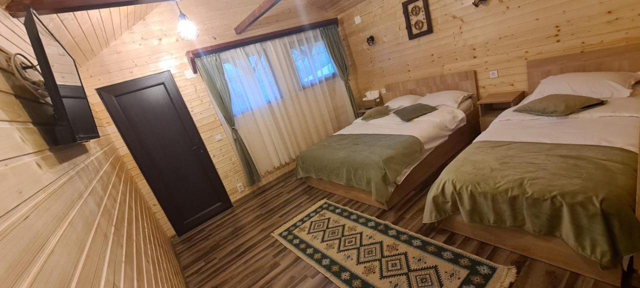 Вилла Baltina Parc Transfagarasan Куртя-де-Арджеш Экстерьер фото