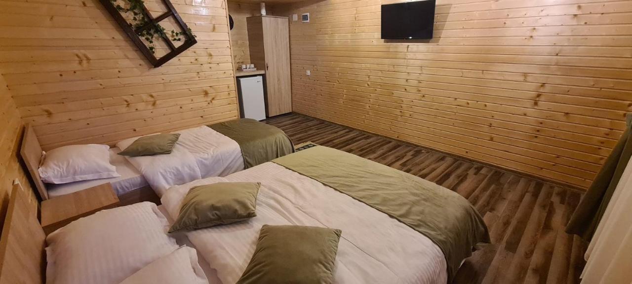 Вилла Baltina Parc Transfagarasan Куртя-де-Арджеш Экстерьер фото
