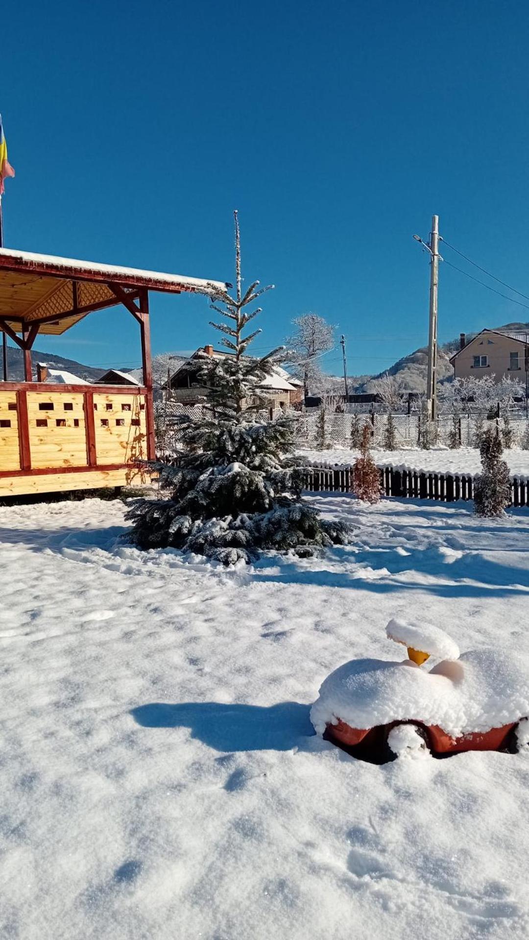 Вилла Baltina Parc Transfagarasan Куртя-де-Арджеш Экстерьер фото