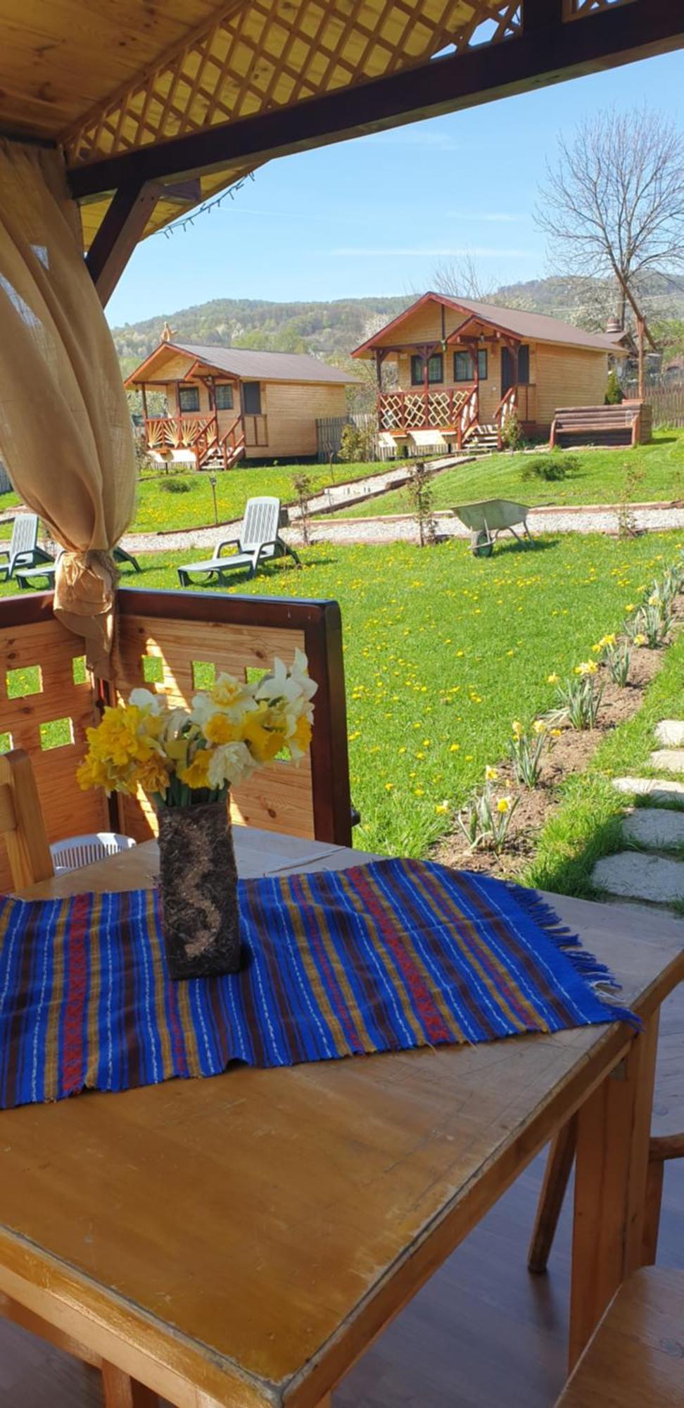 Вилла Baltina Parc Transfagarasan Куртя-де-Арджеш Экстерьер фото