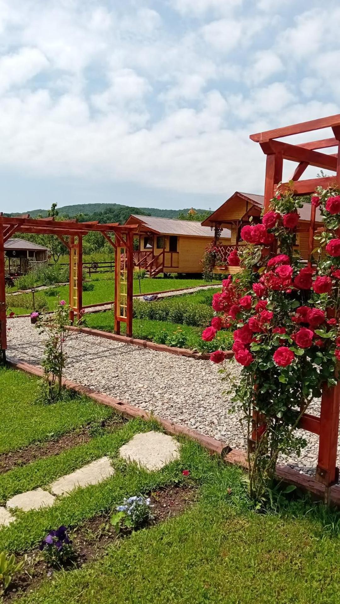Вилла Baltina Parc Transfagarasan Куртя-де-Арджеш Экстерьер фото