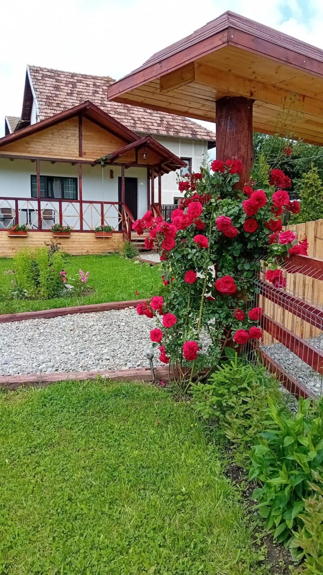 Вилла Baltina Parc Transfagarasan Куртя-де-Арджеш Экстерьер фото