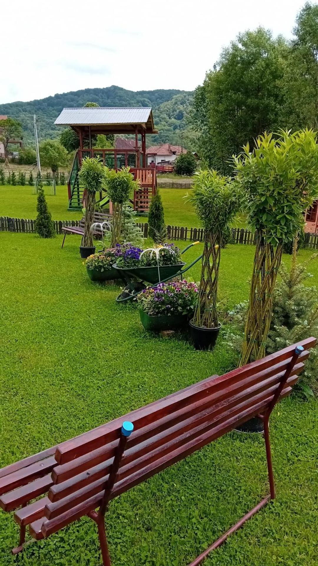 Вилла Baltina Parc Transfagarasan Куртя-де-Арджеш Экстерьер фото