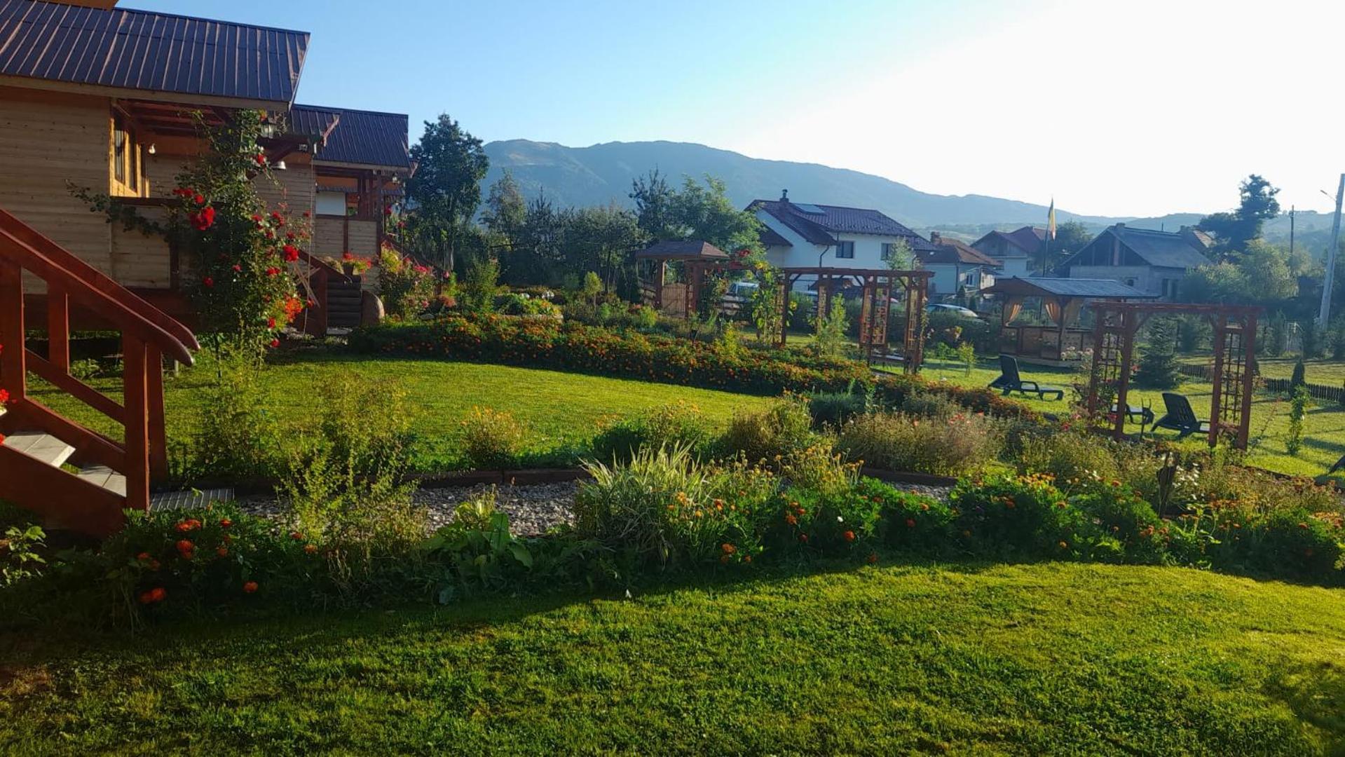 Вилла Baltina Parc Transfagarasan Куртя-де-Арджеш Экстерьер фото