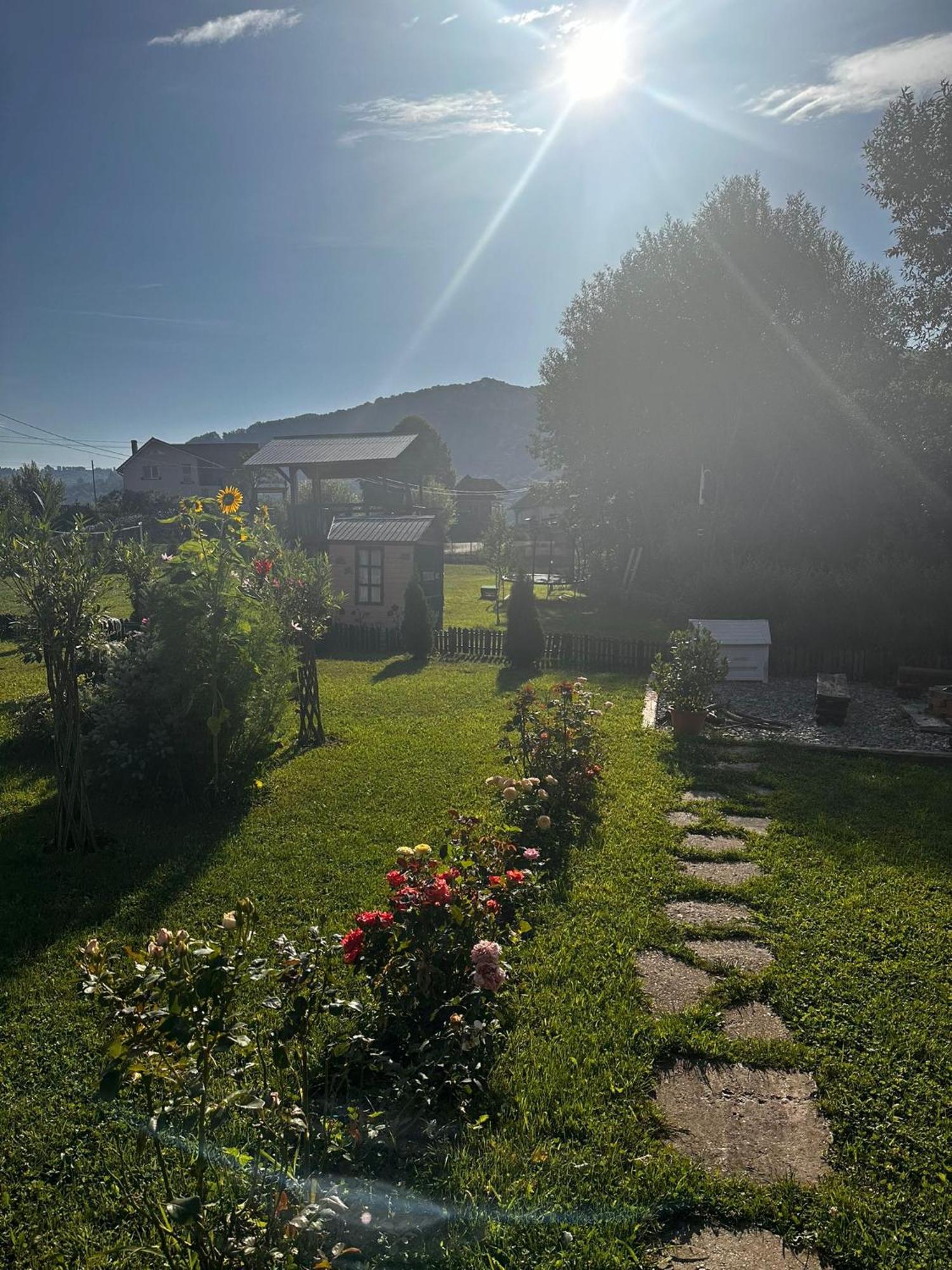 Вилла Baltina Parc Transfagarasan Куртя-де-Арджеш Экстерьер фото
